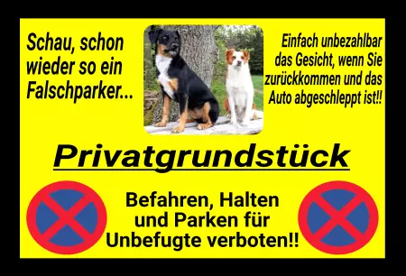 Parken verboten Schild Parken - Verkehr Wieder ein Falschparker Bild